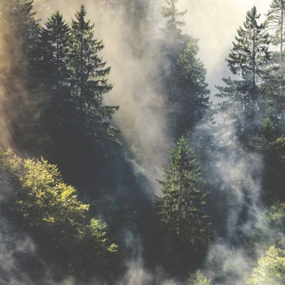 ⛰🌲☁️